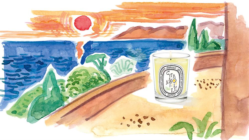 diptyque 2022限量檸檬草香氛蠟燭_形象圖01 diptyque 2022限量檸檬草香氛蠟燭_形象圖01