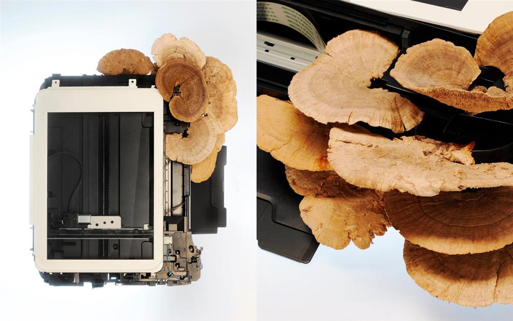 FotoJet (6)