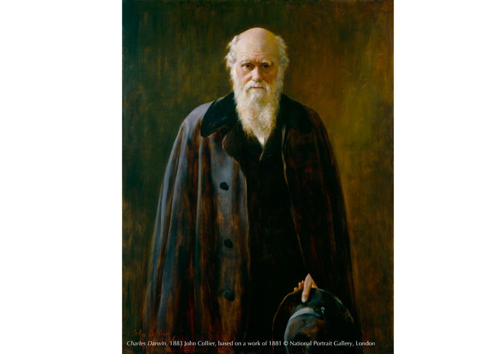 〈查爾斯．達爾文〉，約翰．柯利爾於1883創作(根據1881年作品改繪)。圖片版權：英國國家肖像藝廊。