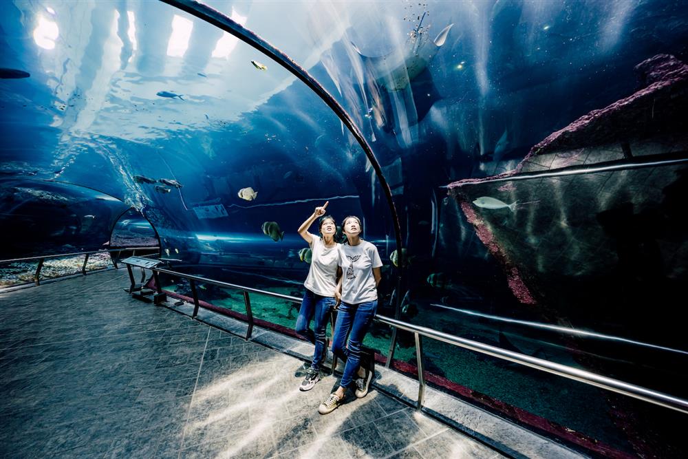 圖1. 屏東海生館暑期活動「魟魚飛行日誌」限時登場，帶領民眾領略魟魚之美