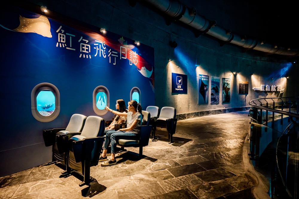圖5. 民眾可登上魟魚航班，感受不同海底景色與魟魚的曼妙姿態