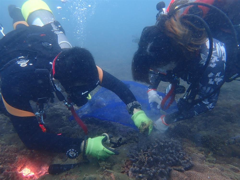 請註明出處:國立海洋大學提供 請註明出處:國立海洋大學提供