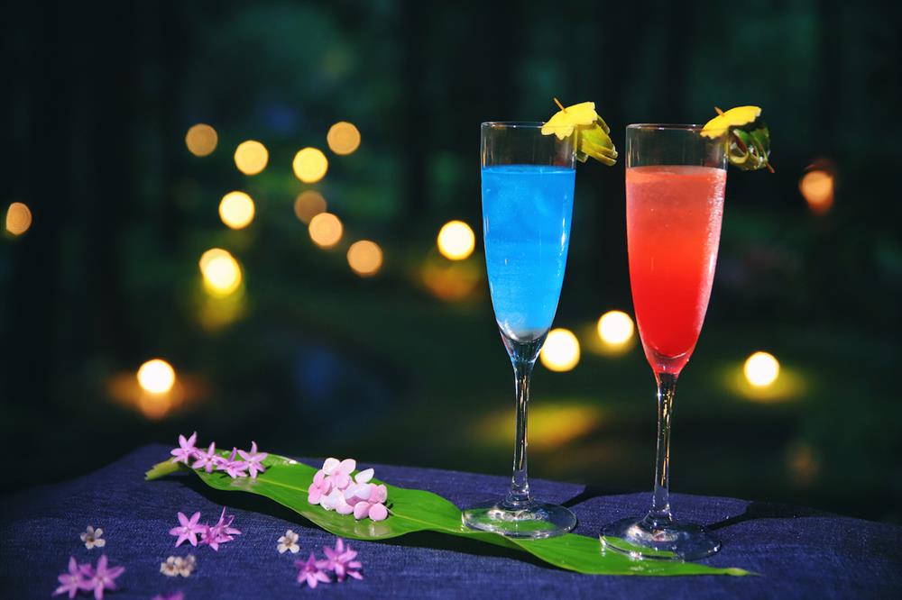 【虹夕諾雅 谷關 HOSHINOYA Guguan】森夜星語