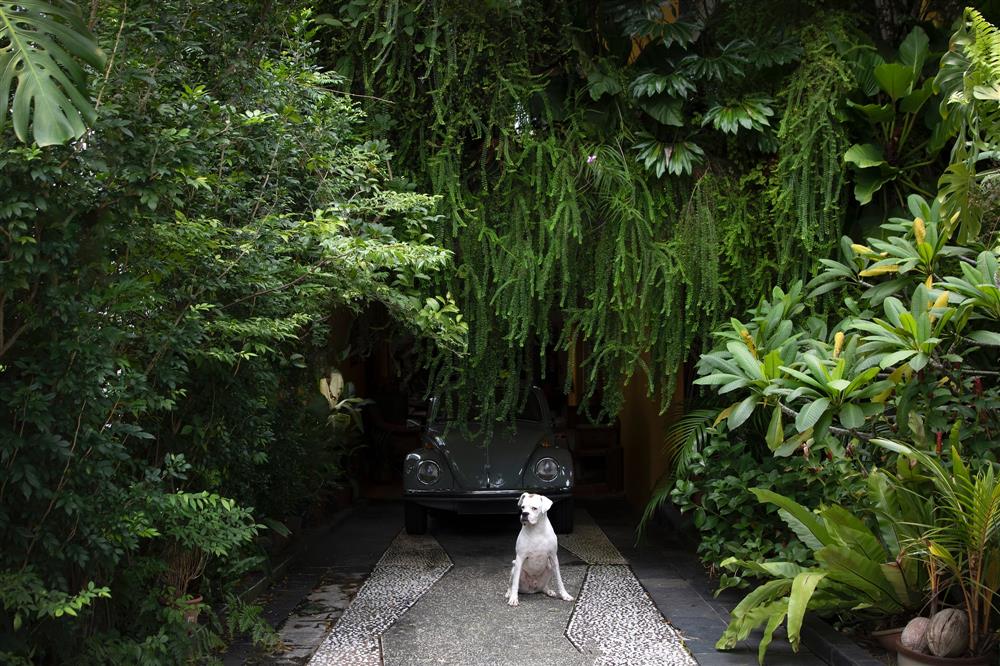 新加坡Marcus Mohan_10