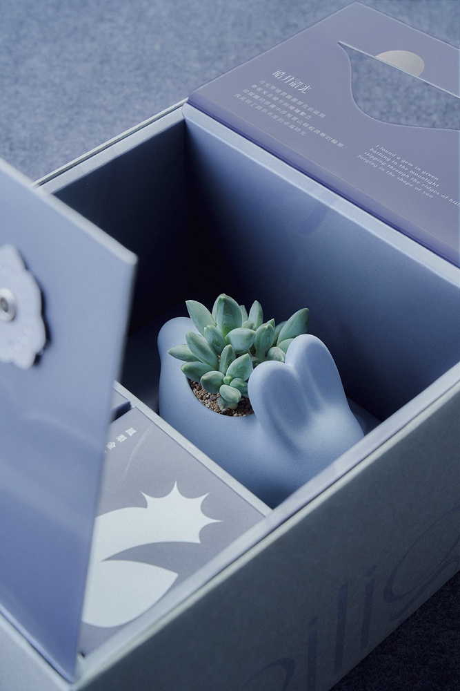 小檔3.兔盆植栽