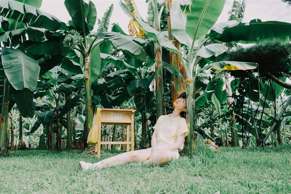 小檔圖四、「蕉朋友練習」邀請你在香蕉樹下紮營，看著營火星河放空，是擁抱香蕉園的最好方式！