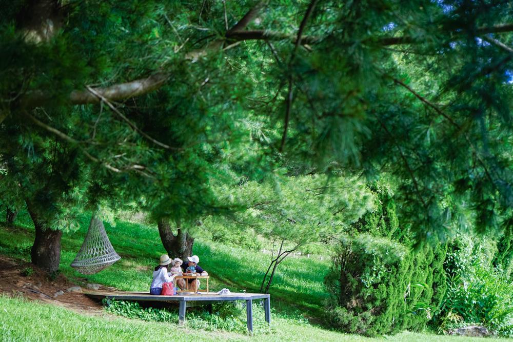 20220602_60 20220602_60