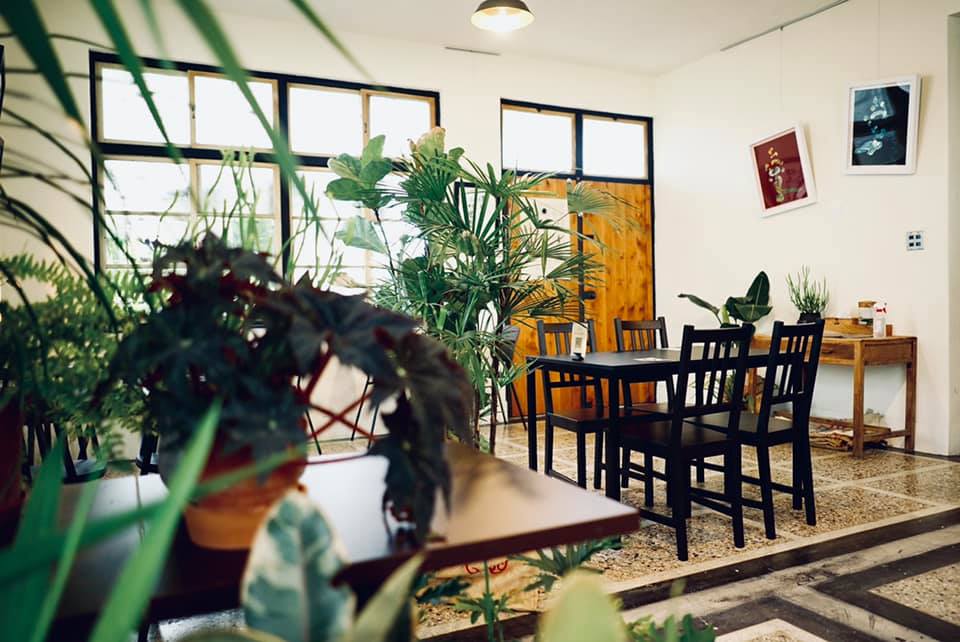 233691535_289283812966991_7016058810636511139_n