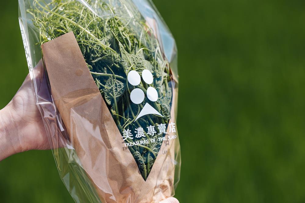 高雄農業再設計＿美濃4