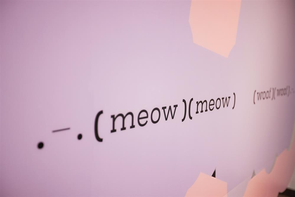 小檔李君慈高雄三民區背板BOJUN-006966