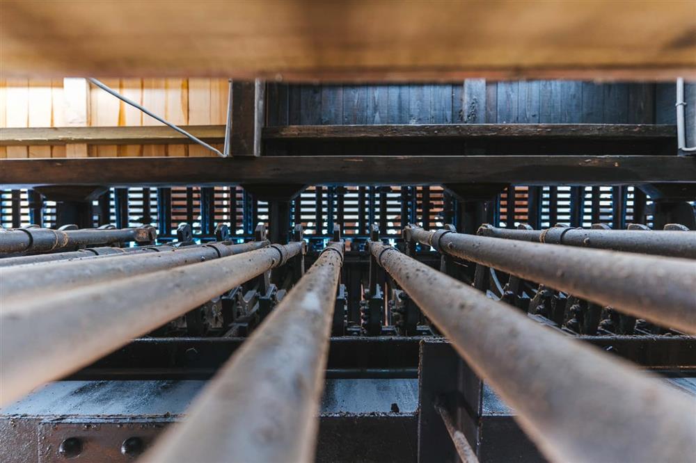 295440664_448600137279039_1616499669277401282_n