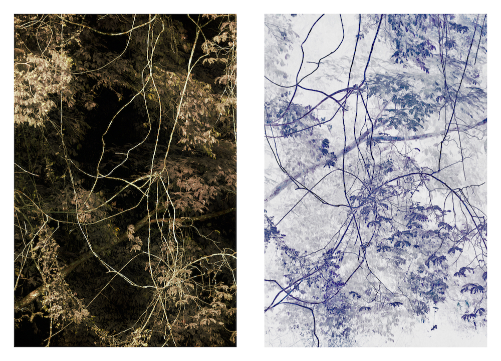 徠卡leica奧斯卡巴納克攝影獎LOBA《氣候變化戰場前線的女性》© Lynsey Addario _ Women on the Frontlines of Climate Change_1