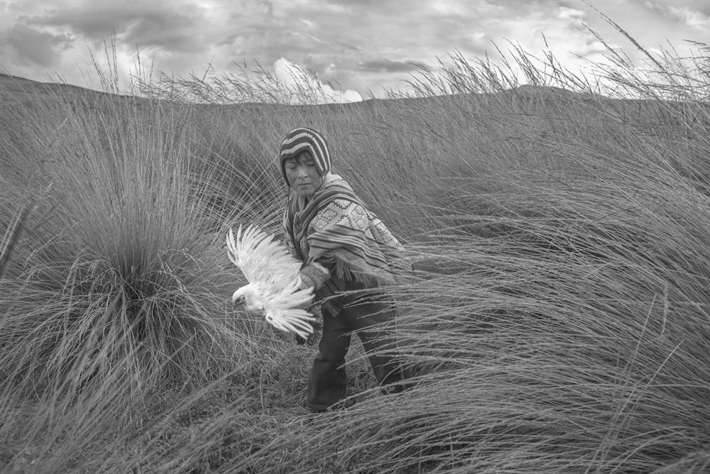 徠卡leica奧斯卡巴納克攝影獎LOBA《病入膏肓的秘魯》© Alessandro Cinque_Peru, A Toxic State_1