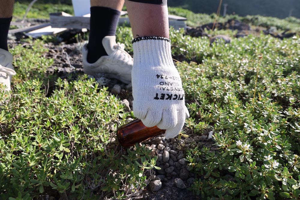 蘭嶼旅人節透明島佳佳百貨冷泉淨灘1