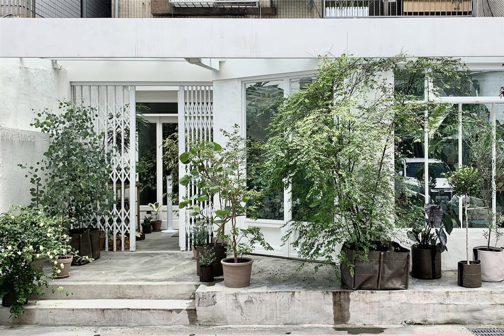 8間風格植物店_4.MRS. INOUE植物雜貨店