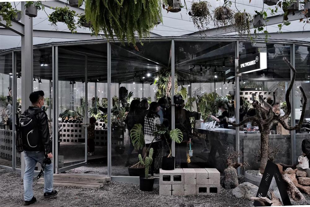 8間風格植物店_12.酉 5PM TWCAUDEX