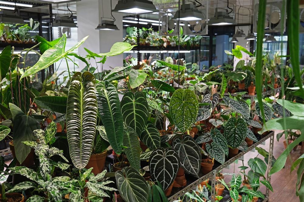 8間風格植物店_9.A Life with Plants 植物與生活