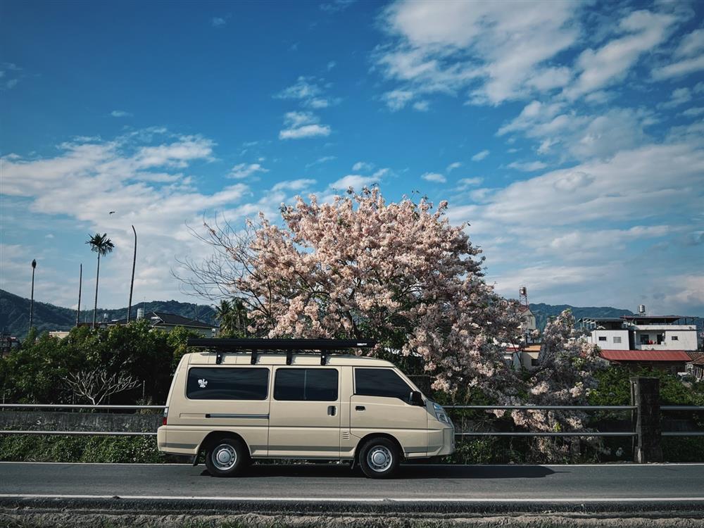 「行動草木！環島城市計畫」，盼能打破疫情的藩籬。圖／草木提供