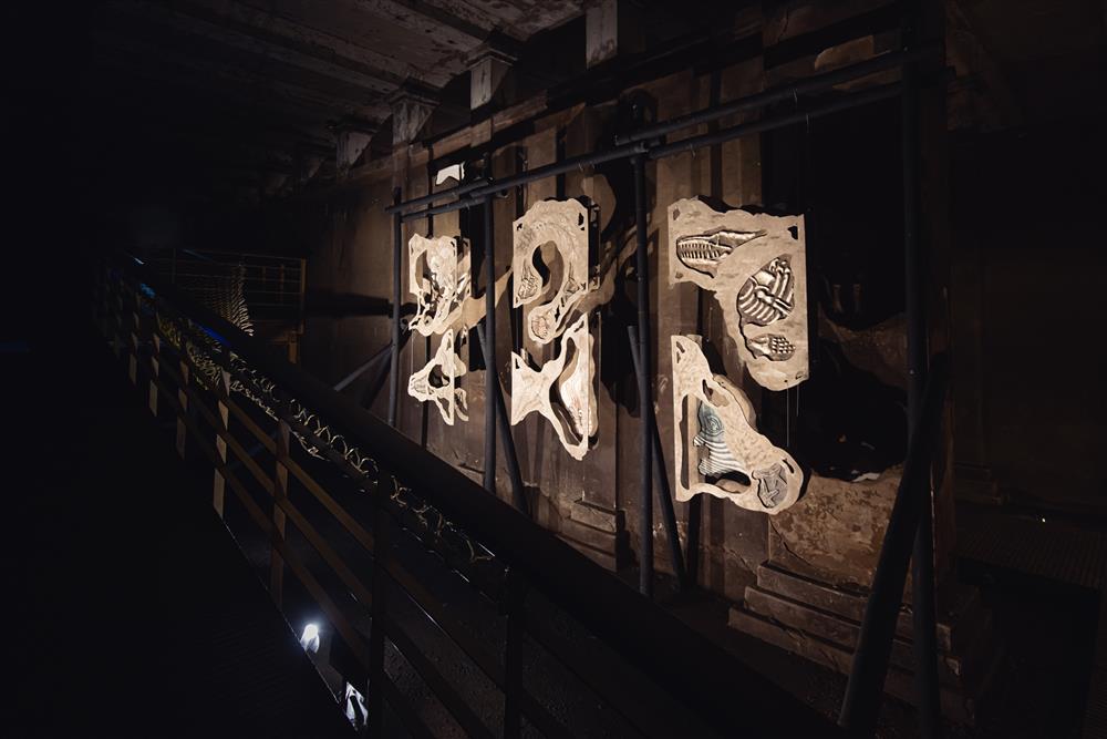 仰角35度_考古化石 仰角35度_考古化石