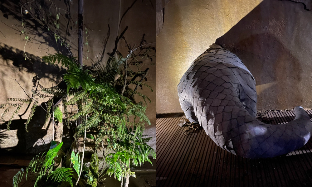 tigermilk_山林動物 - 他們的樣子 tigermilk_山林動物 - 他們的樣子