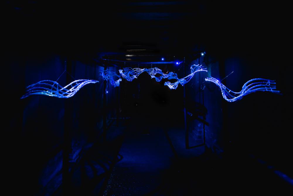 phytooo_ 藍眼淚 - 時間的軌跡 phytooo_ 藍眼淚 - 時間的軌跡