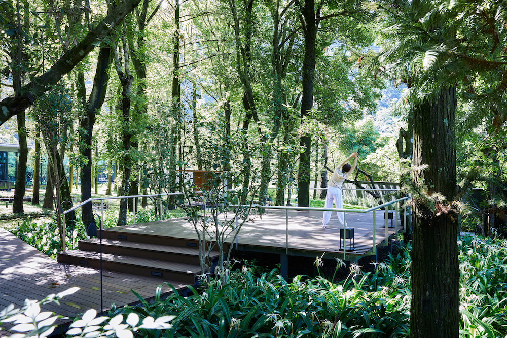 Activity _Deep Breath Stretch in the Wood_ - HOSHINOYA Guguan Activity _Deep Breath Stretch in the Wood_ - HOSHINOYA Guguan