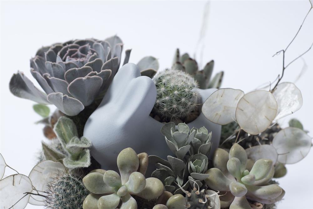 3.有肉-詠然岫月