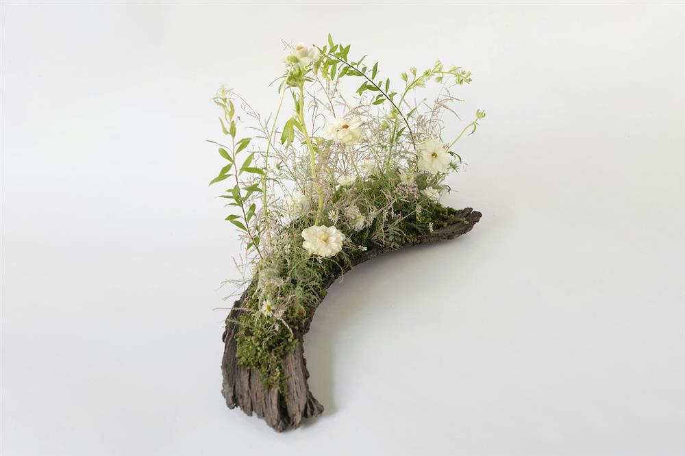 4.花裡-靜謐秋月