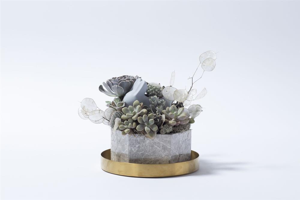 2.有肉-詠然岫月