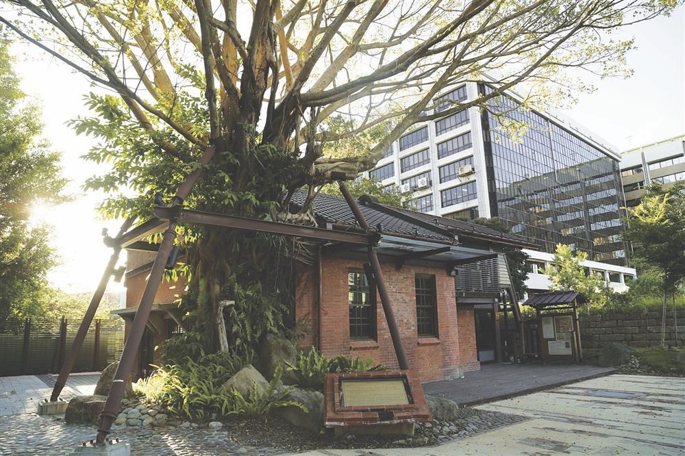 小檔台北榕錦時光生活園區1園區中昔日公共浴池建物旁生長出茂盛的大樹，與紅磚建物依偎而生，為了讓建物與樹木和諧共生，建物在活化再利用時保留了大樹的生長環境，讓蓊鬱的樹木在園區中展現自然美感