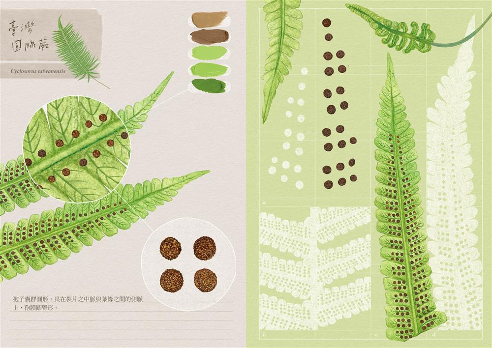 小千之森筆記本-蕨1_70180 小千之森筆記本-蕨1_70180