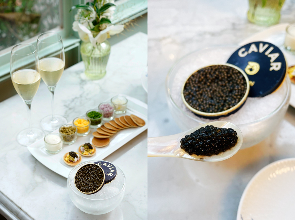 FotoJet (1) FotoJet (1)