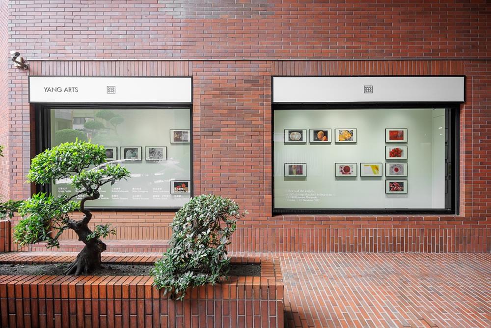 小檔YANG ARTS_芃_展覽現場_YANG ARTS 提供_攝影:張國耀8 小檔YANG ARTS_芃_展覽現場_YANG ARTS 提供_攝影:張國耀8
