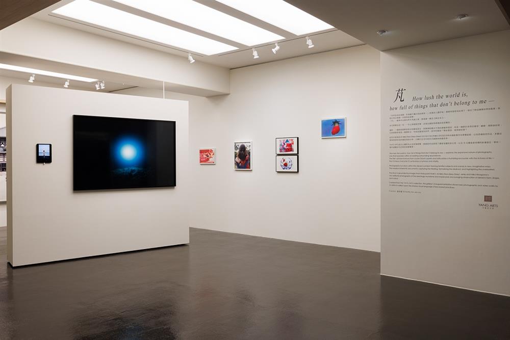小檔YANG ARTS_芃_展覽現場_YANG ARTS 提供_攝影:張國耀1 小檔YANG ARTS_芃_展覽現場_YANG ARTS 提供_攝影:張國耀1