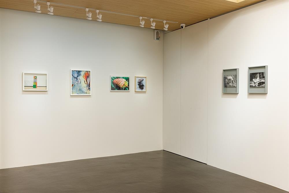 小檔YANG ARTS_芃_展覽現場_YANG ARTS 提供_攝影:張國耀3 小檔YANG ARTS_芃_展覽現場_YANG ARTS 提供_攝影:張國耀3