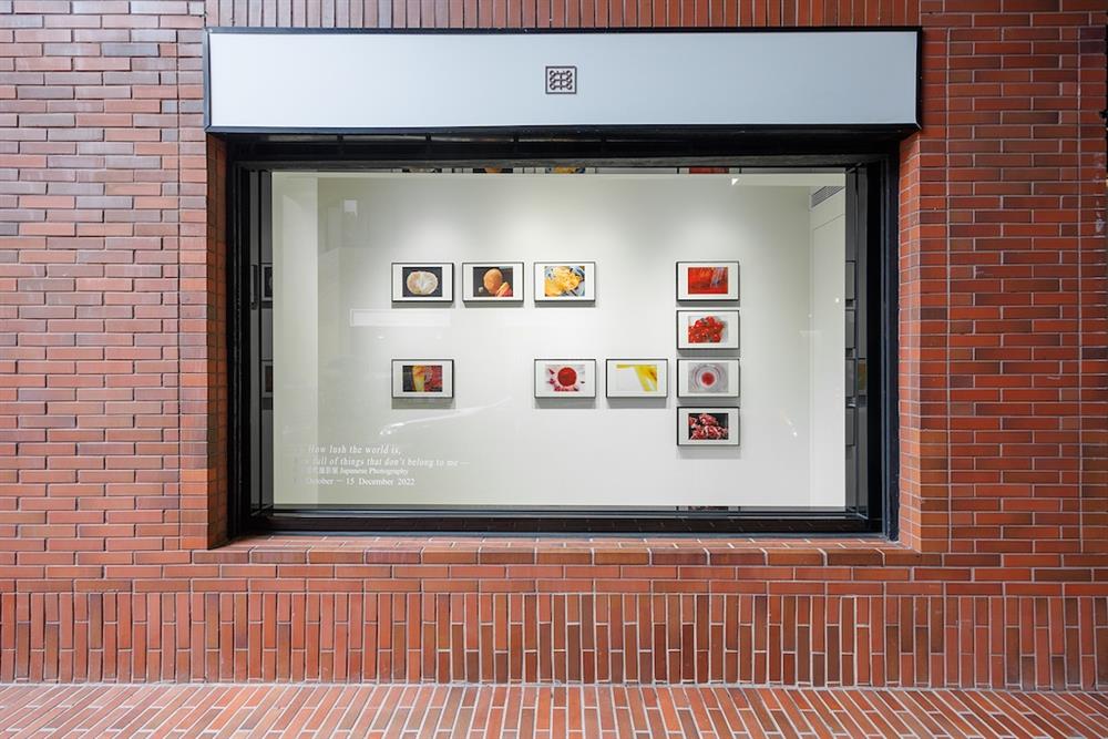 小檔YANG ARTS_芃_展覽現場_YANG ARTS 提供_攝影:張國耀5 小檔YANG ARTS_芃_展覽現場_YANG ARTS 提供_攝影:張國耀5