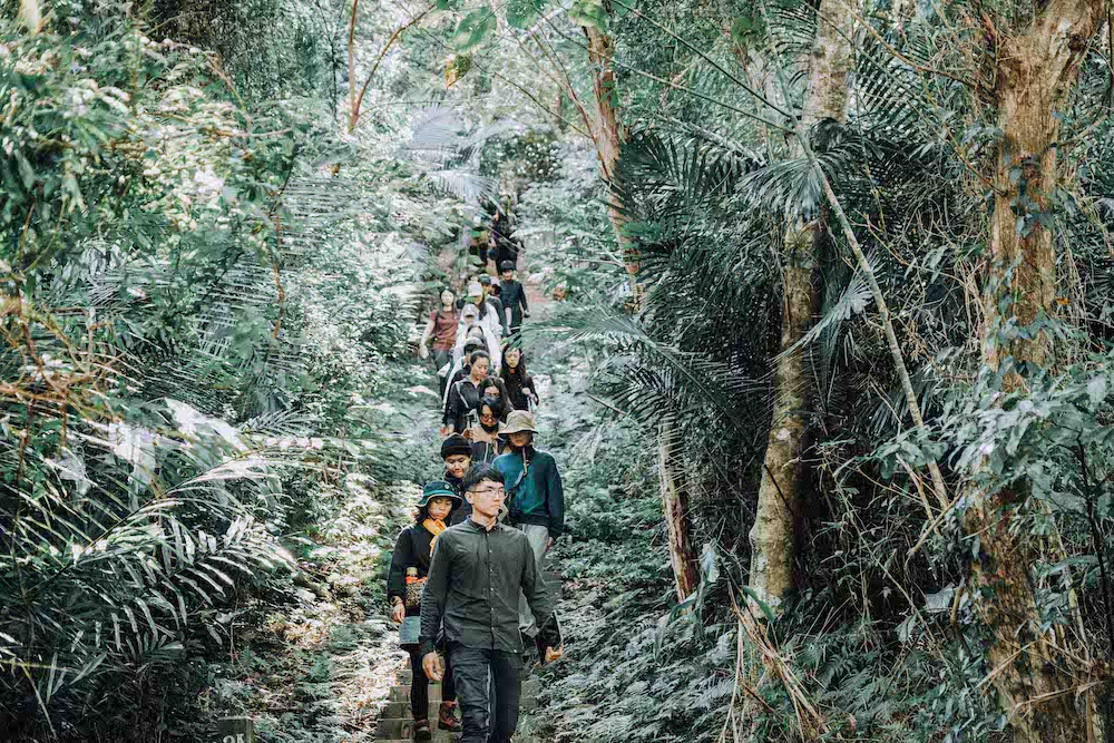 「野遊能量WILD」健行 「野遊能量WILD」健行