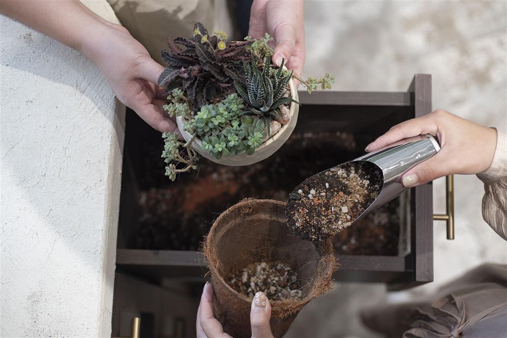 有肉七週年慶_10