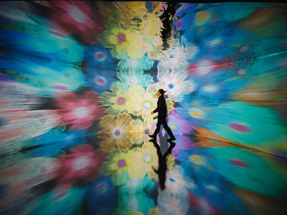 B珊瑚花開_FIXE0043