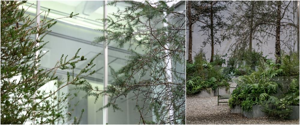 北美館AVEDA迷霧花園認養_04