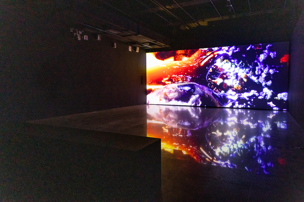 作品《洪加東加島》丹麥SUPERFLEX2