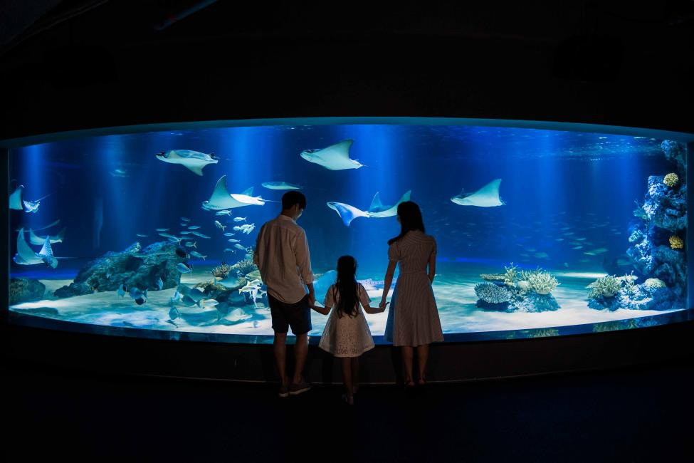 歐洲、日本、韓國的第一線旅遊踩點推薦！陳小曼、林凱洛、KKday不藏私帶路_15