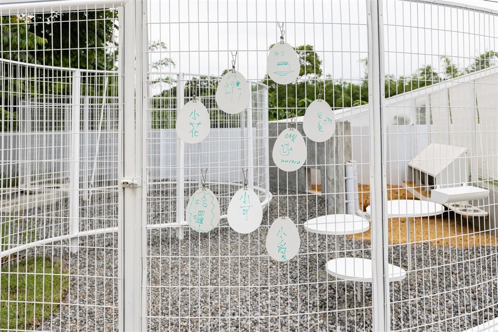 校園美感改造_苗栗南河國小_07