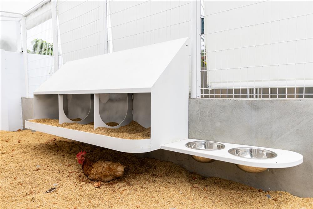 校園美感改造_苗栗南河國小_09