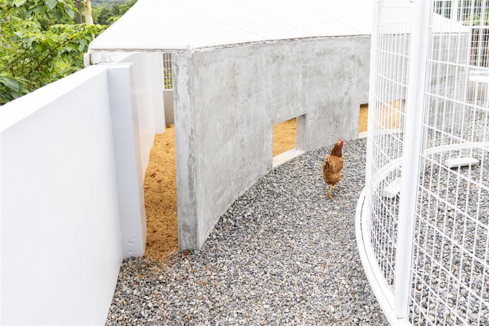 校園美感改造_苗栗南河國小_06