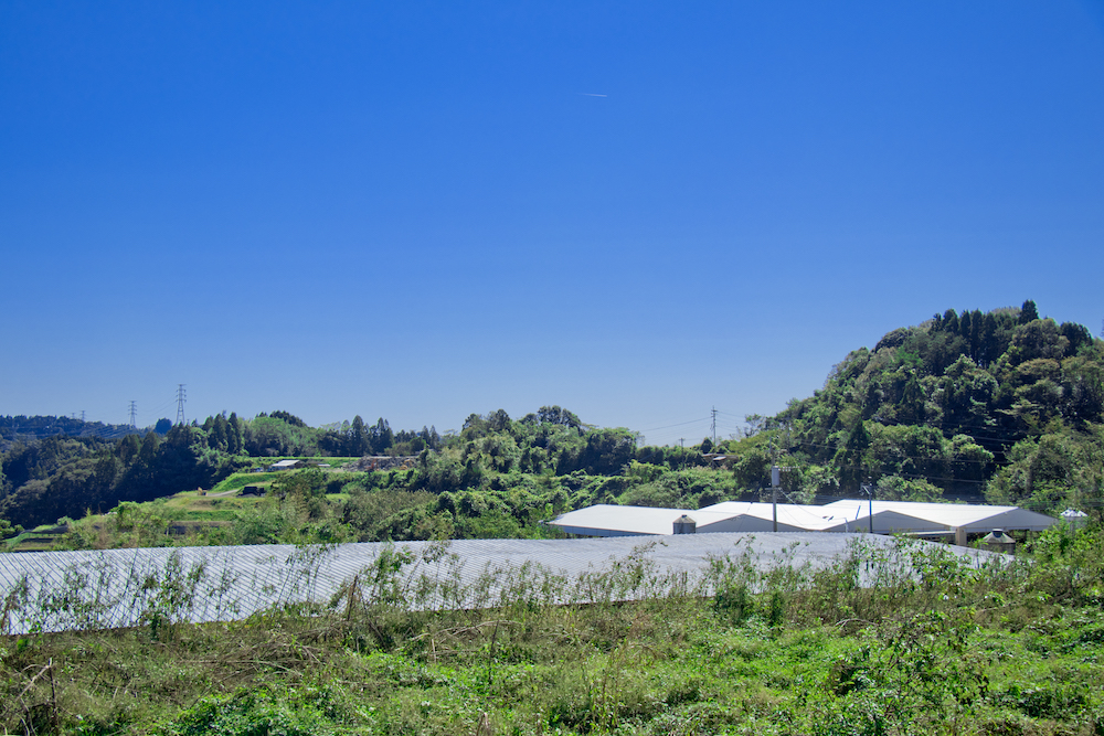 圖說：來自豐饒的日向之地、有太陽王和牛美譽的南九州宮崎縣產「尾崎牛」