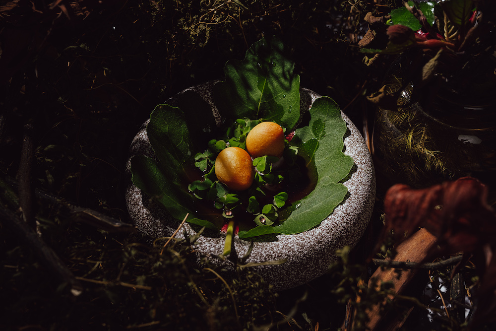 029_20221026_HOSU_SCREENSIZE_COOPERAPHY