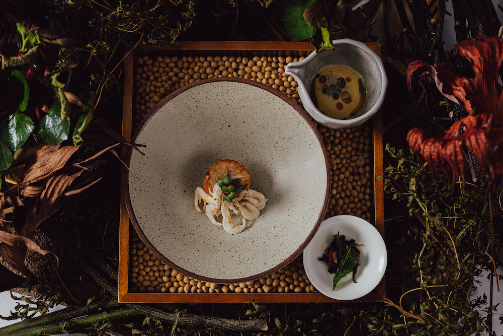 054_20221026_HOSU_SCREENSIZE_COOPERAPHY