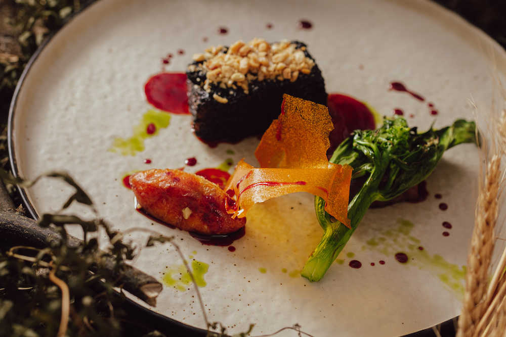 070_20221026_HOSU_SCREENSIZE_COOPERAPHY