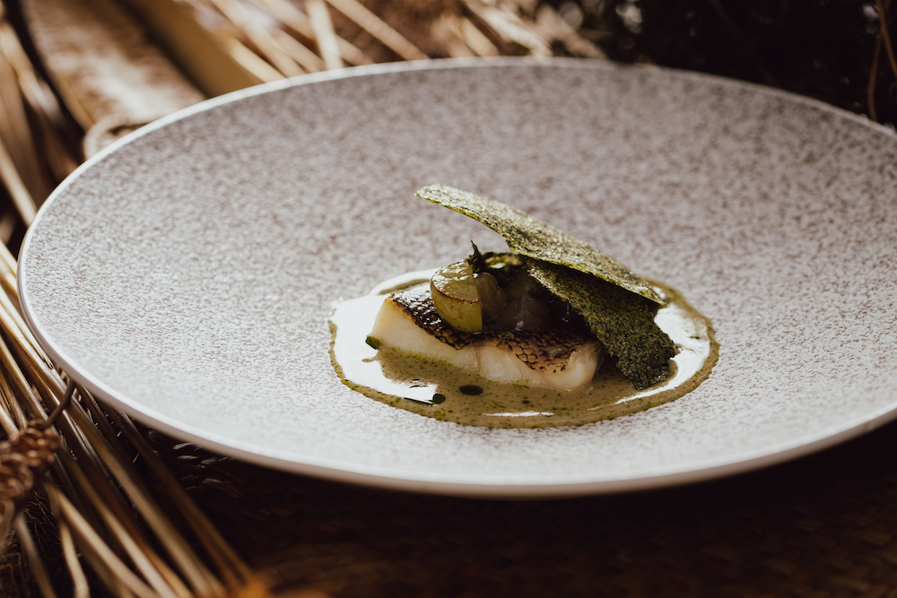 046_20221026_HOSU_SCREENSIZE_COOPERAPHY